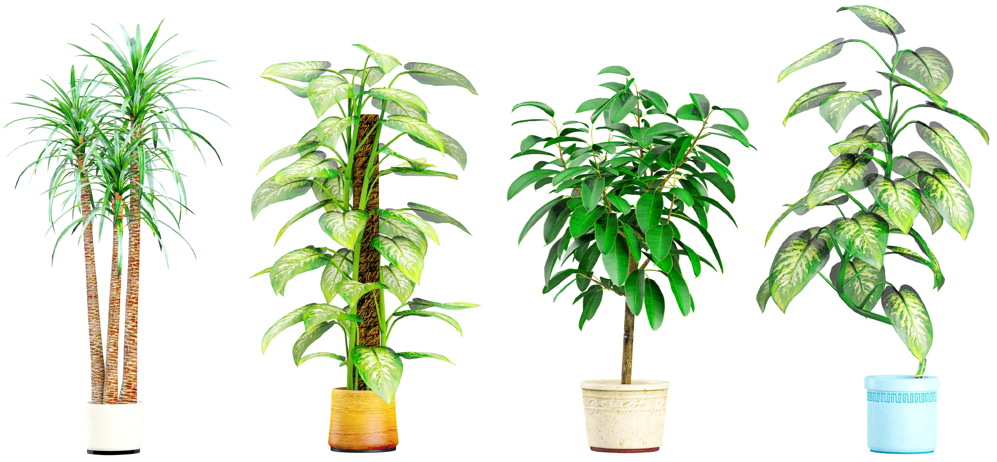 Ubicacion Plantas Vivero San Antonio